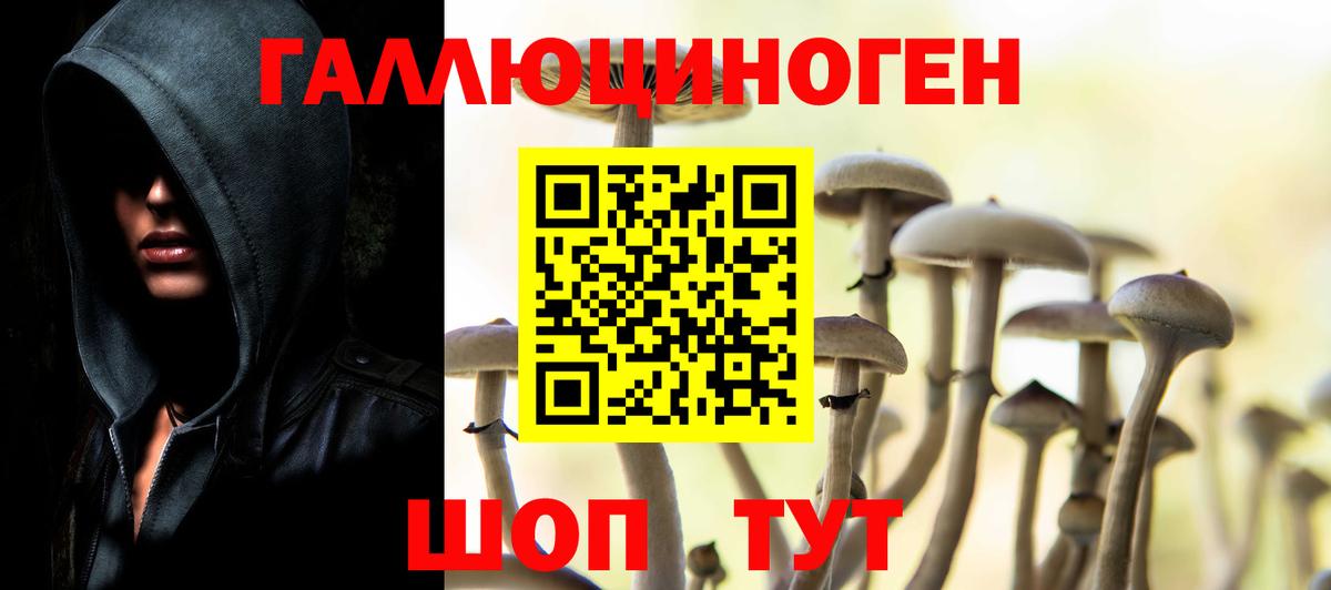 хочу наркоту  Вход с VPN  Новоалександровск  Галлюциногенные грибы мицелий  Галлюциногенные грибы ЛСД 